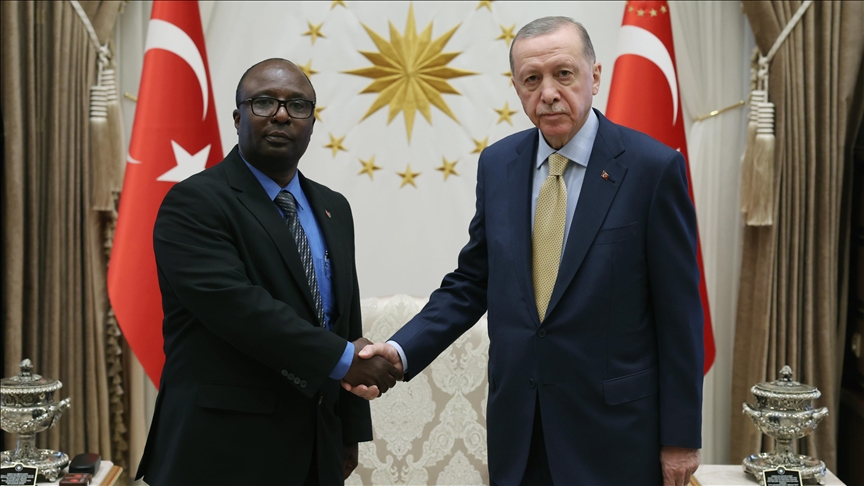 Tanzanya Büyükelçisi Bakari ile Kamboçya Büyükelçisi Sok, Cumhurbaşkanı Erdoğan'a güven mektubu sundu