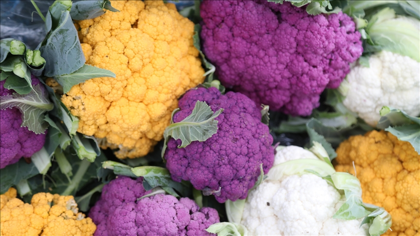 تركيا تصدر القرنبيط الملون إلى روسيا