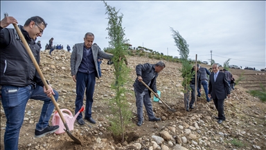 Türkiye plants 12,000 saplings in Iraqi city of Erbil