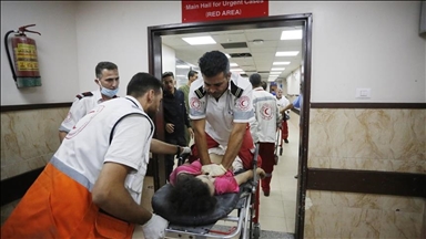 L'OMS appelle à mettre un terme aux meurtres des personnes innocentes à Gaza  