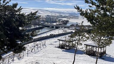 Erzurum, Ardahan, Ağrı ve Kars'ta soğuk hava etkili oluyor