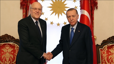 إسطنبول.. أردوغان يلتقي رئيس الوزراء اللبناني