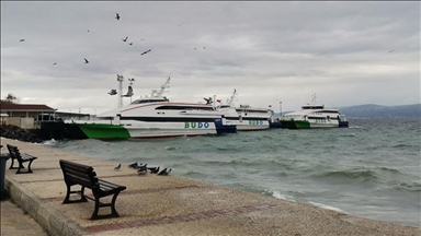 Bursa-İstanbul deniz otobüsünün bugünkü seferleri iptal edildi
