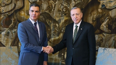 Президент Эрдоган обсудил с премьером Испании ситуацию в Газе
