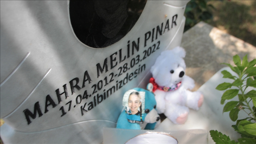 Antalya'da köpeklerden kaçarken ölen çocuğun ailesine 3,9 milyon lira tazminat ödenmesine karar verildi