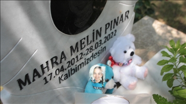 Antalya'da köpeklerden kaçarken ölen çocuğun ailesine 3,9 milyon lira tazminat ödenmesine karar verildi