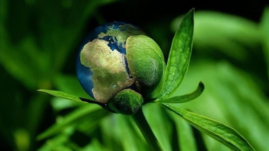 World Climate Summit starting in Dubai with huge participation