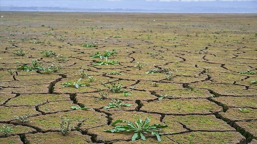 Zbog suše će do 2050. godine skoro 216 miliona ljudi morati migrirati