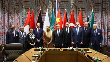 دیدار وزرای خارجه کشورهای عربی و اسلامی با رئیس شورای امنیت