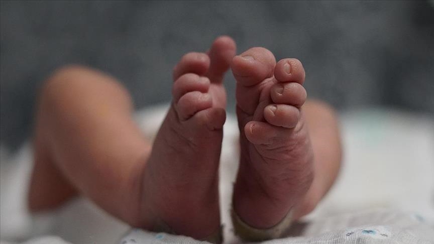 The baby is healthy': 70-year-old woman gives birth to her first child via  IVF