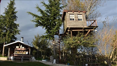 Ordulu ailenin 17 metrekarelik ağaç evi hafta sonları buluşma noktası oldu 