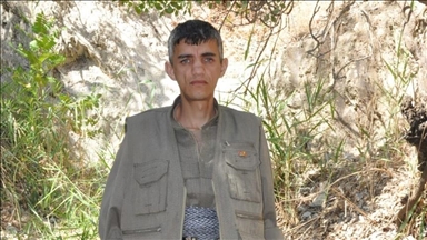 Turkish intelligence agency 'neutralizes' PKK member plotting terror attacks