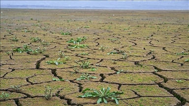 تغییرات اقلیمی؛ خطر خشکسالی ترکیه را تهدید می‌کند