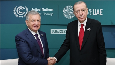 Эрдоган провел встречу с президентом Узбекистана