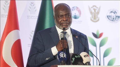 وزير المالية السوداني: أنتجنا من الذرة والسمسم ما يكفي حاجتنا ويفيض