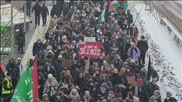 Hundreds of Swedes demonstrate outside Israeli embassy in solidarity with Palestinians