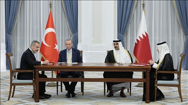 Türkiye dhe Katari nënshkruan 12 marrëveshje bashkëpunimi