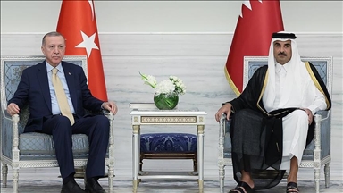 أردوغان يبحث مع أمير قطر "المجزرة" الإسرائيلية في غزة 