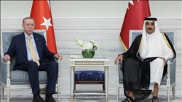 Le président turc et l'émir du Qatar discutent des attaques israéliennes dans la Bande de Gaza 