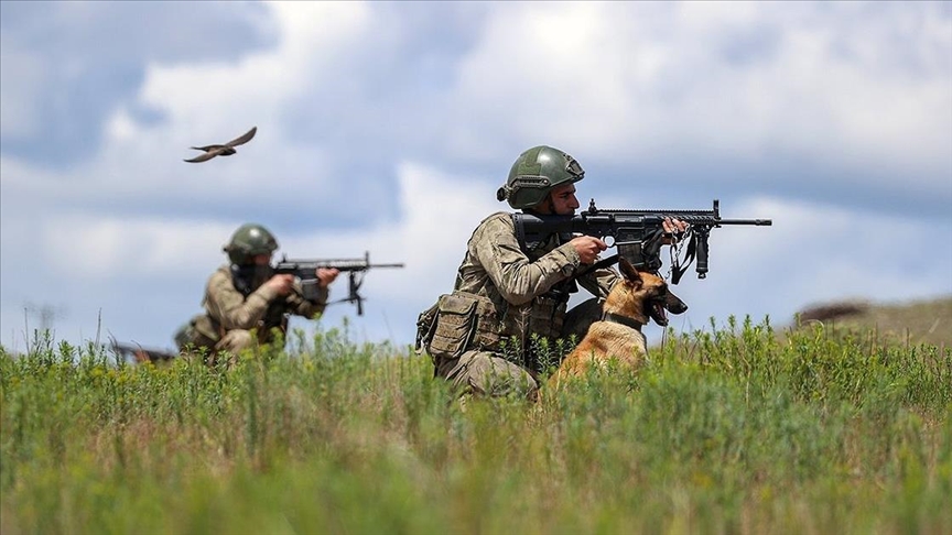 3 more PKK terrorists surrender to Turkish security forces
