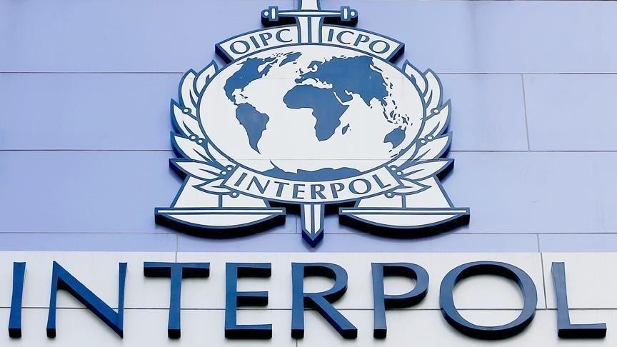 Interpol issues arrest warrant for Kosovo Serb politician Radoicic