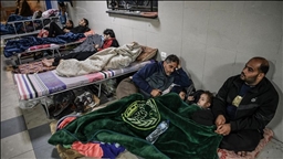 Nearly half a million people depart Israel amid Gaza war: Report
