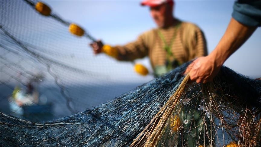 Overfishing and Eumatric fishing