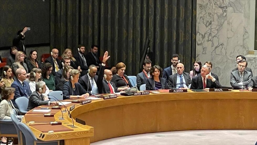 انتقاد عربي وإسلامي للفيتو الأمريكي "الرافض" لوقف حرب غزة