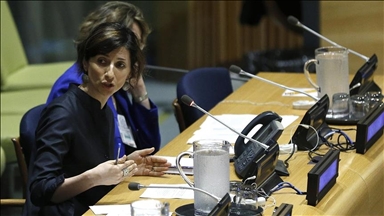UN expert defends stance on Israel's war crimes amid antisemitism accusations