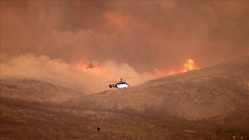 Global crisis unleashed: 2023's devastating forest fires gripped globe