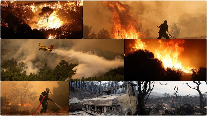Svijet se 2023. borio s velikim šumskim požarima