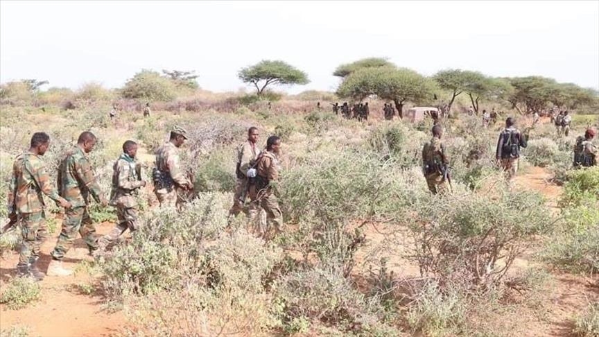 130 al-Shabaab terrorists killed in military operations in central, southern Somalia