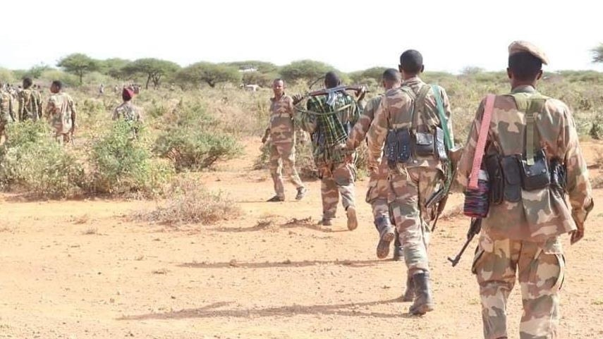 At least 80 al-Shabaab terrorists killed in military operation in Somalia: Army commander