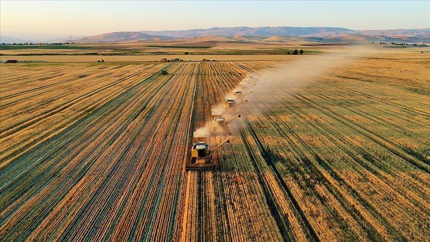 Tarımda üretim planlaması gelecek yıl hayata geçirilecek