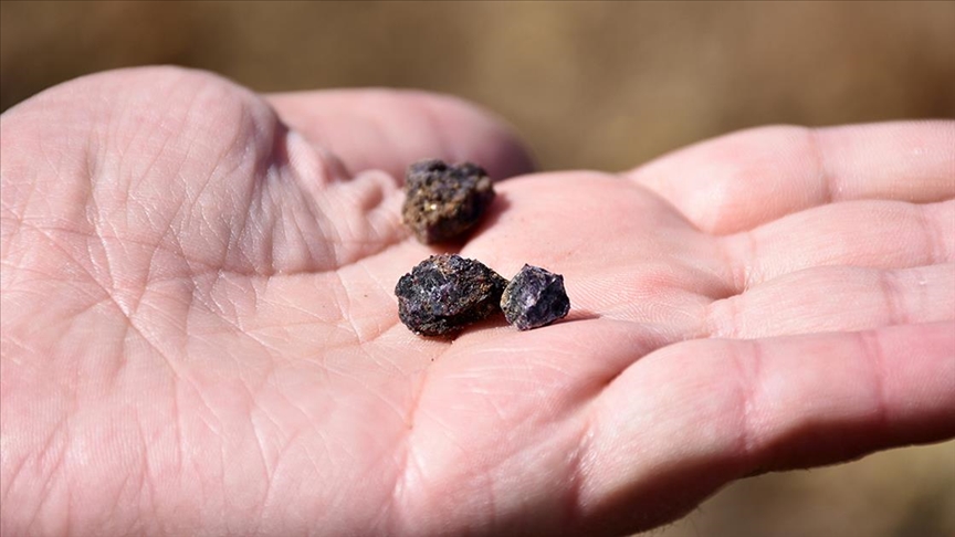 Nadir toprak elementlerinin ticaretine getirilen kısıtlamaların yeşil dönüşümü tehdit edebileceği belirtildi
