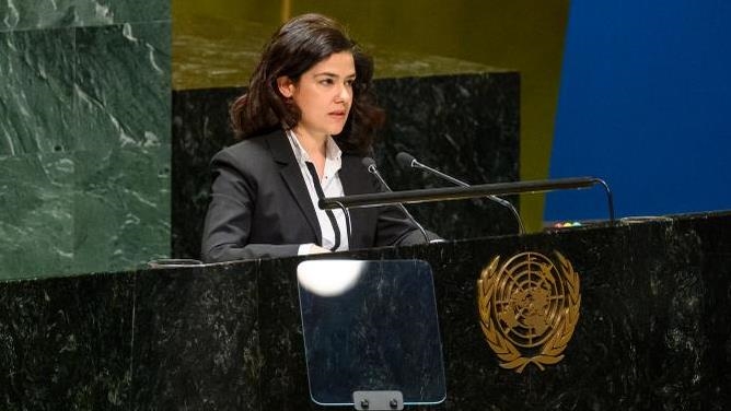 Türkiye says use of veto at UN 'has become an arbitrary and detrimental tool'