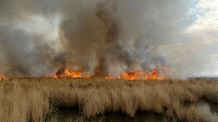 آتش‌سوزی در تالاب بیشه دالان بروجرد