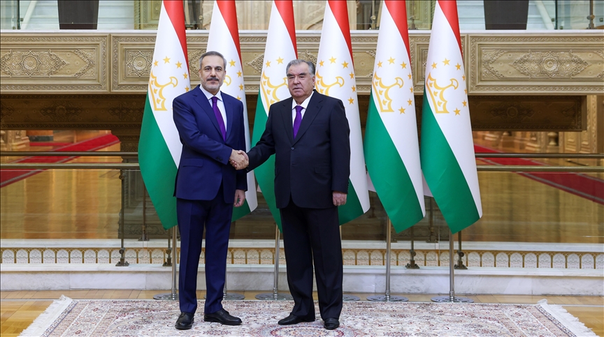Душанбе и Анкара намерены расширить многоплановое сотрудничество 