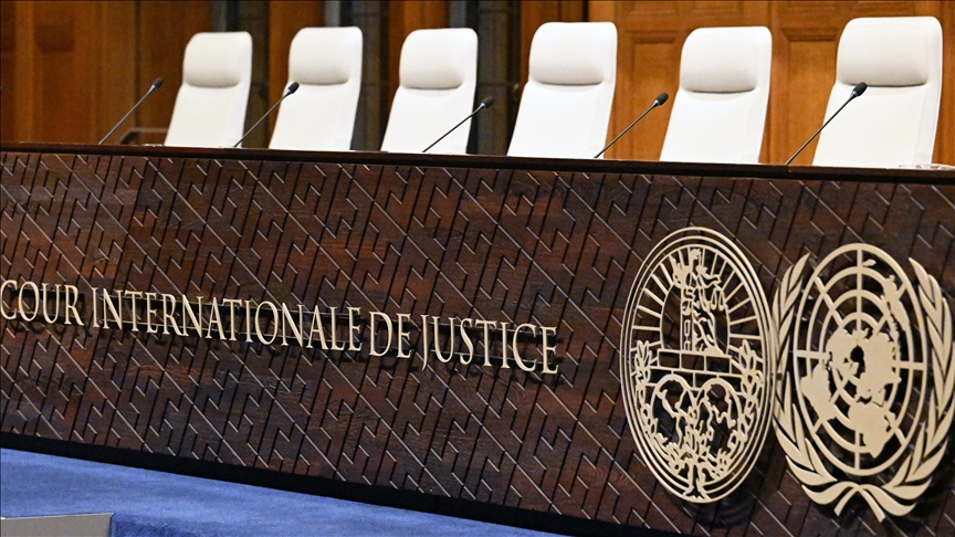 UN human rights experts welcome start of genocide case against Israel at ICJ