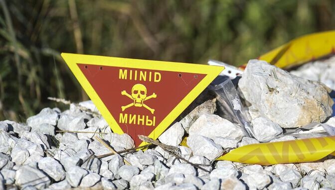 В Латвии собирают подписи за выход из Конвенции о запрещении противопехотных мин