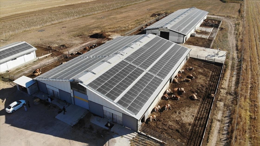 Devlet desteğiyle hem çiftlik kurdu hem de GES'le elektrik giderini sıfırladı