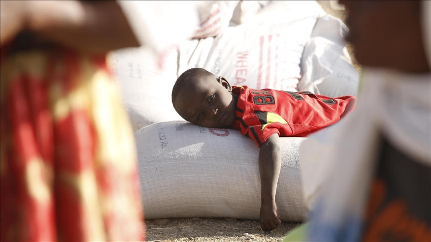 Conflict, drought displaced more than 3.4M people in Ethiopia: UN migration agency