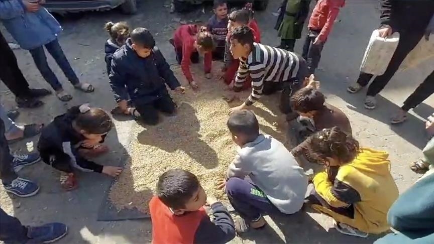 غزة.. الجوع يجبر الفلسطينيين على تناول أعلاف الحيوانات (تقرير)