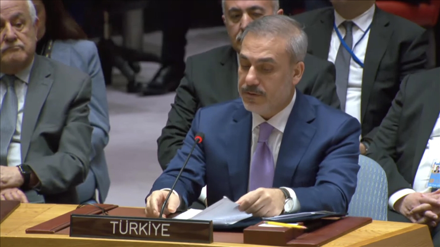 Shame international community still unable to stop bloodshed in Gaza: Turkish foreign minister