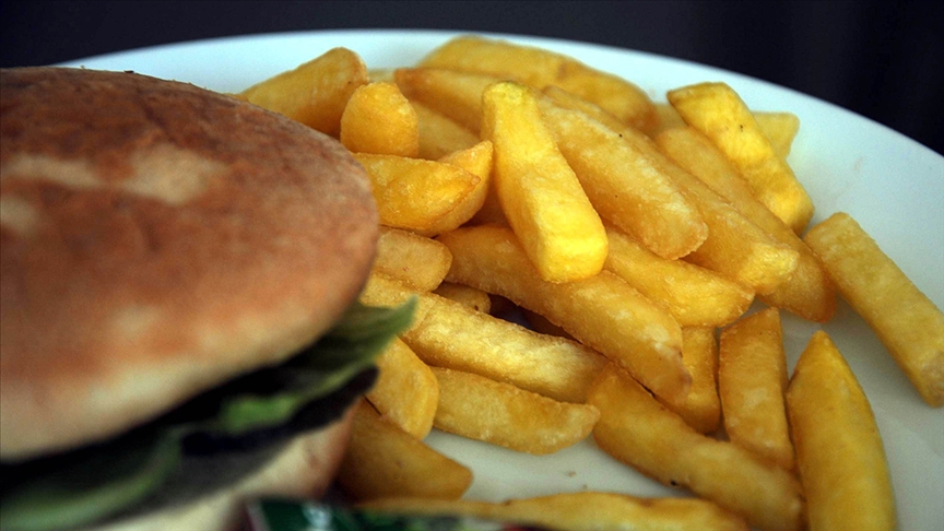 "Fast food" işletmelerinde kullanılan kızartma yağları 10 gün boyunca denetlenecek