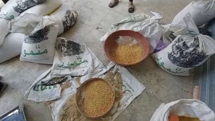 Hungry Gazans eat animal food, while animals nibble human bodies lying on streets