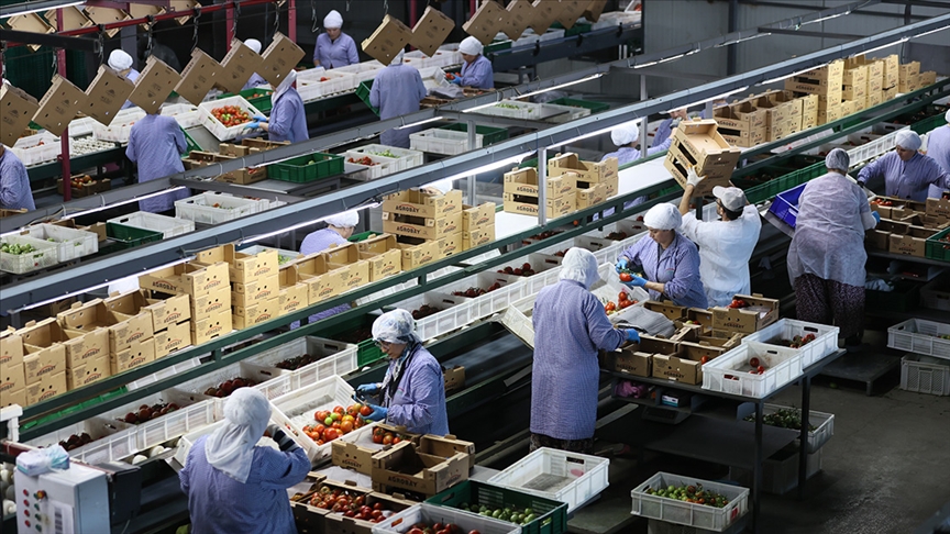 Ege Bölgesi'nin son bir yıllık meyve sebze mamulleri ihracatı 1 milyar doları aştı