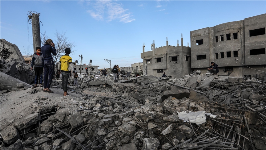 Social media outcry: Stray animals feed on Palestinians' lifeless bodies