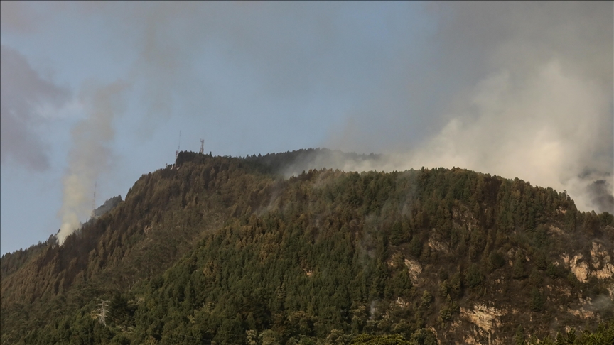Kolumbija: U požarima uništeno više od 17.000 hektara šumske površine