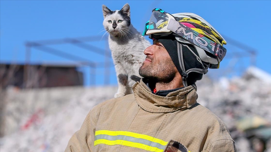 Mardinli itfaiye eri sahiplendiği kedi "Enkaz"ı yanından ayırmıyor